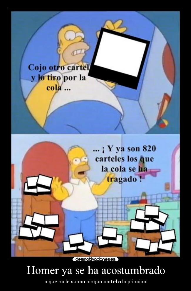 Homer ya se ha acostumbrado -