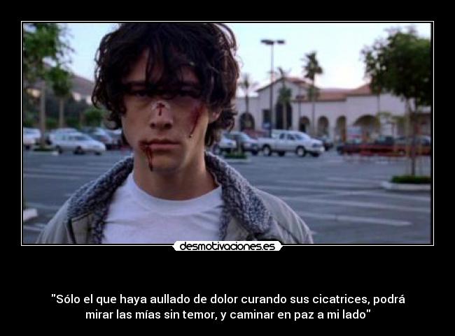 carteles brick frase mrlifepk vida caminar lado dolor mucho dolor aullado cicatriz joseph gordon levit desmotivaciones