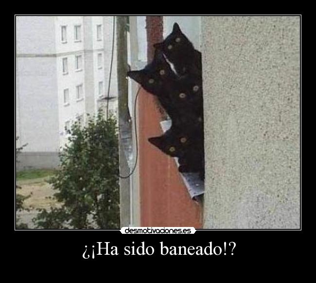 ¿¡Ha sido baneado!? -