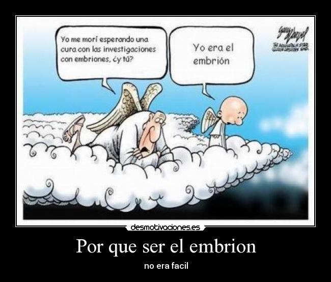 Por que ser el embrion - no era facil