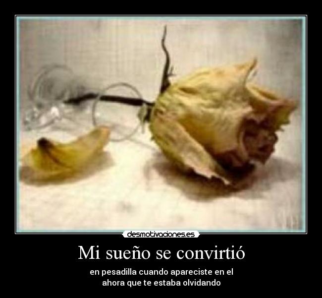 Mi sueño se convirtió - 