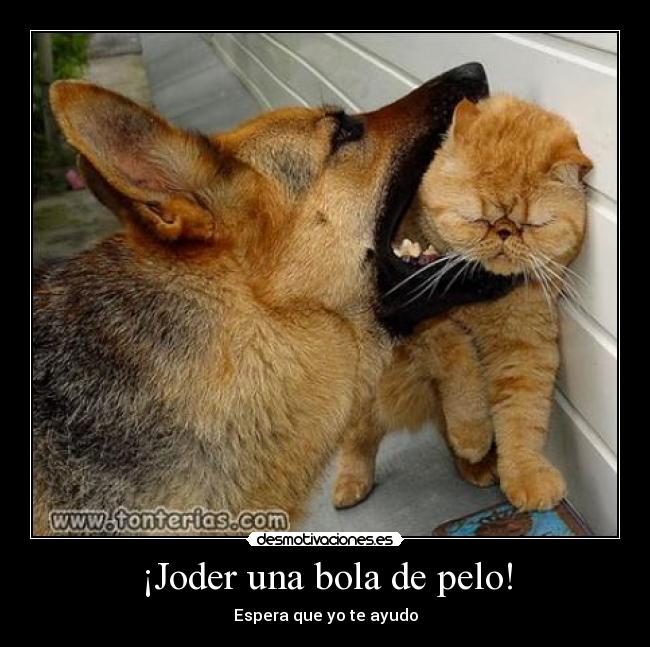 ¡Joder una bola de pelo! - Espera que yo te ayudo