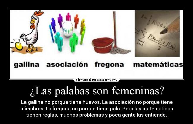 ¿Las palabas son femeninas? - 