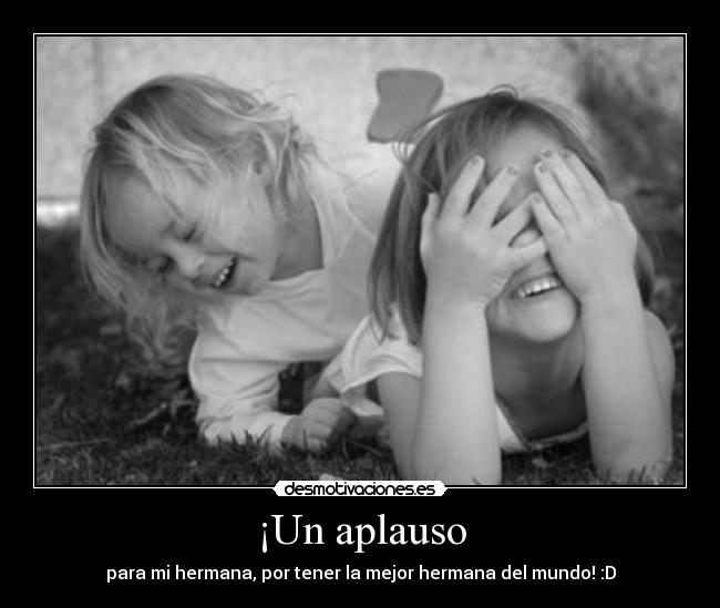 carteles hermanas desmotivaciones