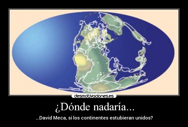 ¿Dónde nadaría... -