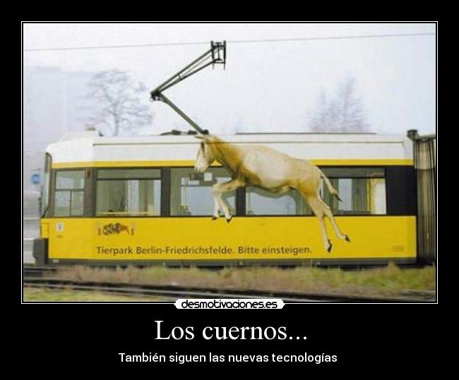 carteles dddddddddddddddddd desmotivaciones