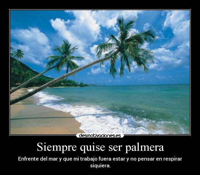 Siempre quise ser palmera - Enfrente del mar y que mi trabajo fuera estar y no pensar en respirar siquiera.