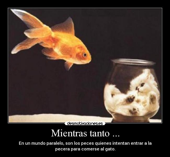 Mientras tanto ... -