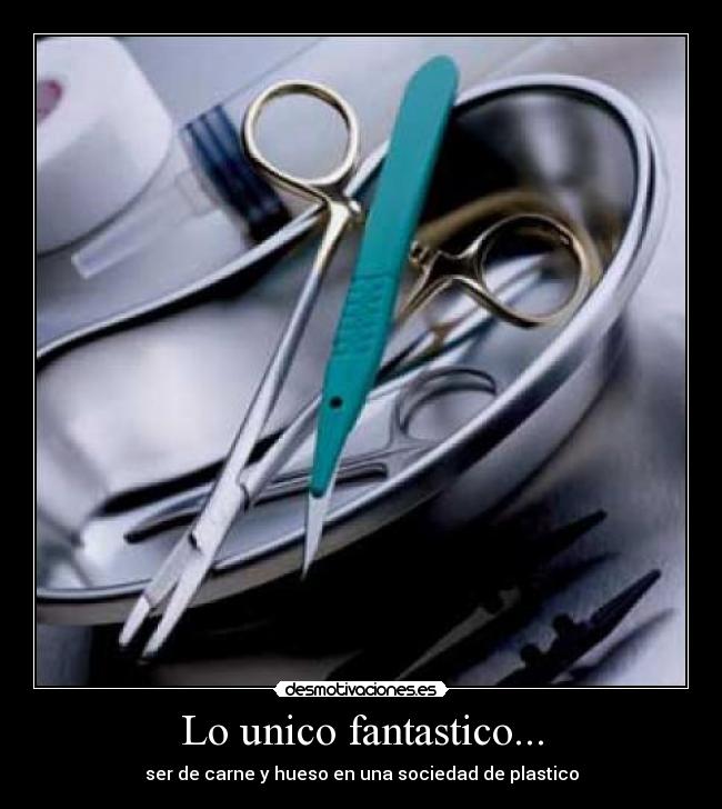 Lo unico fantastico... - ser de carne y hueso en una sociedad de plastico