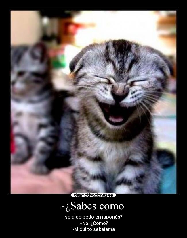 -¿Sabes como - se dice pedo en japonés?
+No, ¿Como?
-Miculito sakaiama