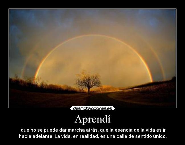 Aprendí -  que no se puede dar marcha atrás, que la esencia de la vida es ir
hacia adelante. La vida, en realidad, es una calle de sentido único.