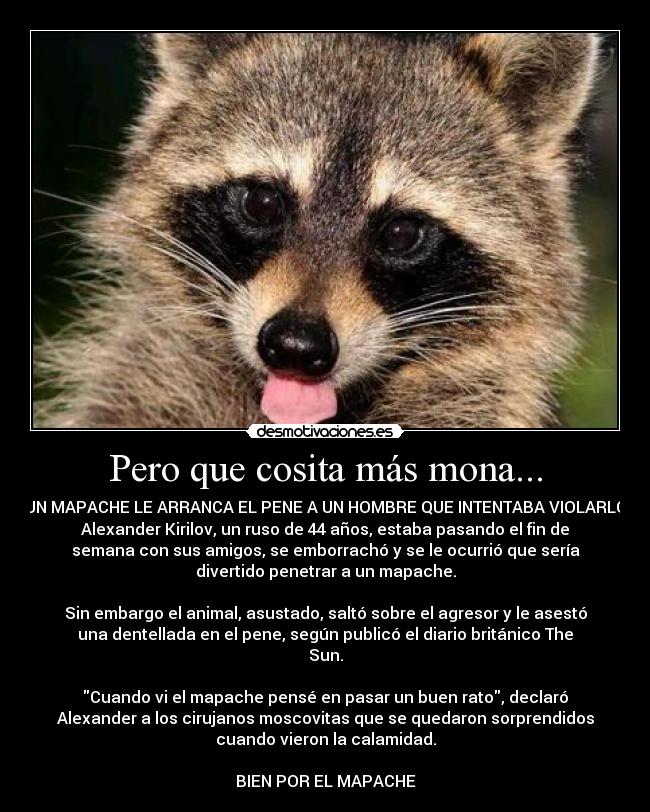 Pero que cosita más mona... -