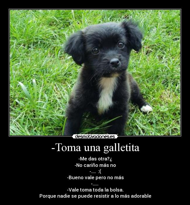 -Toma una galletita -