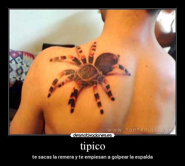 tipico -