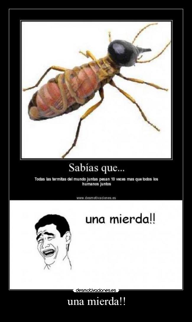 una mierda!! -