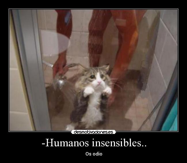 -Humanos insensibles.. - Os odio