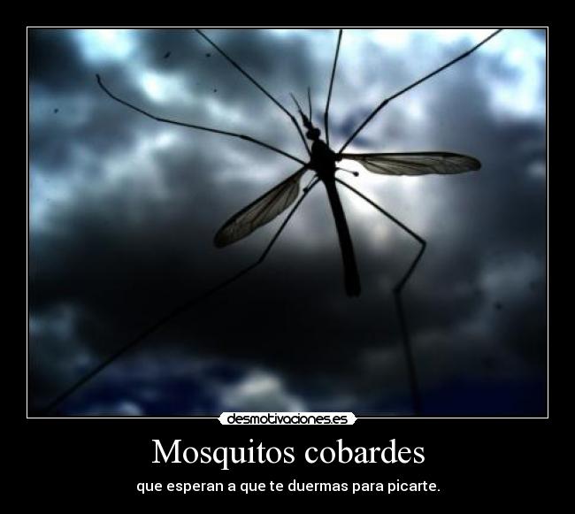 Mosquitos cobardes - que esperan a que te duermas para picarte.