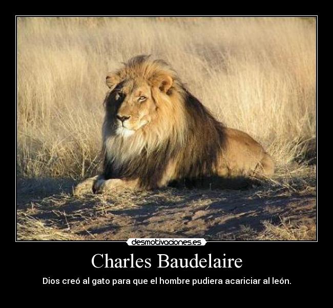 Charles Baudelaire - Dios creó al gato para que el hombre pudiera acariciar al león.