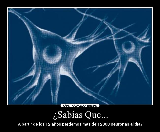 ¿Sabías Que... - A partir de los 12 años perdemos mas de 12000 neuronas al día?