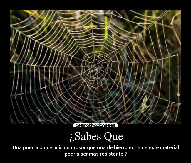 ¿Sabes Que - Una puerta con el mismo grosor que una de hierro echa de este material
podría ser mas resistente ?