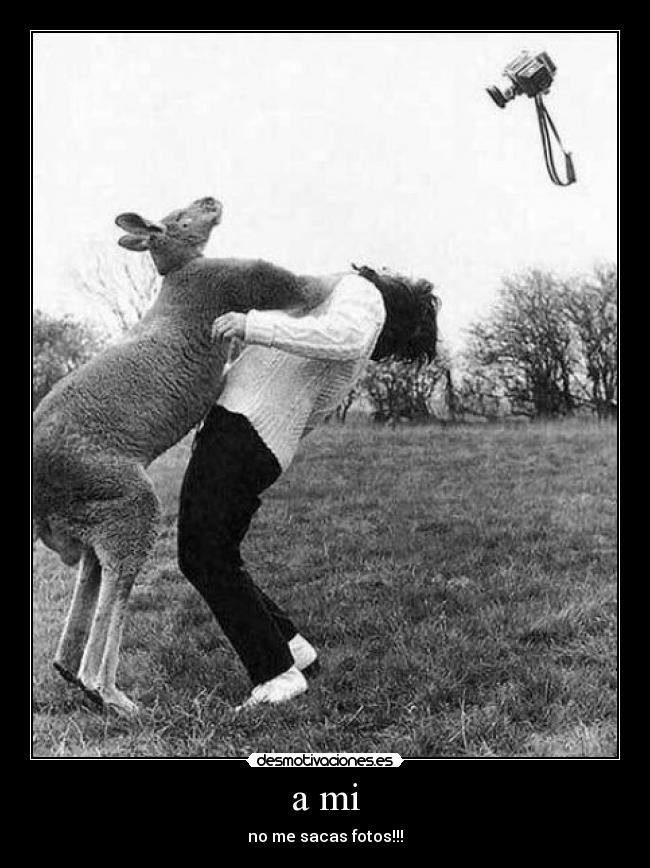 a mi - no me sacas fotos!!!