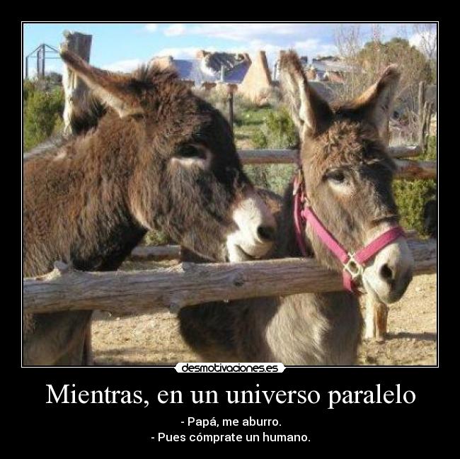 Mientras, en un universo paralelo - 