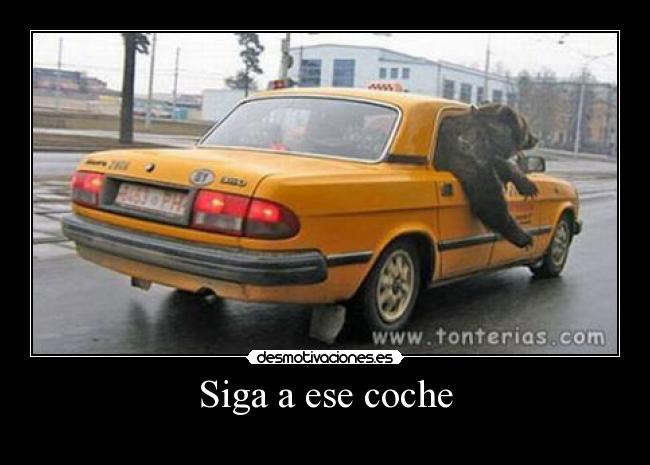 Siga a ese coche - 