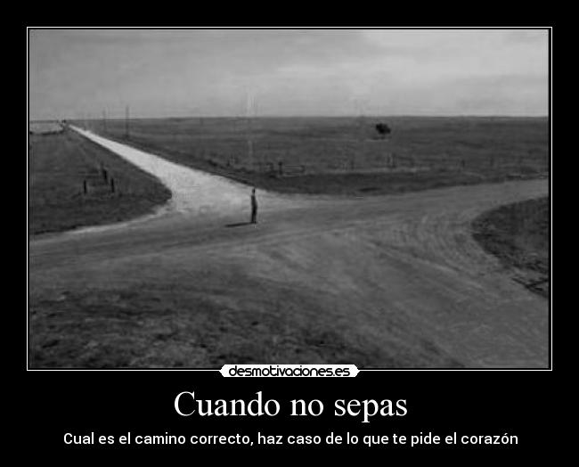 Cuando no sepas - 