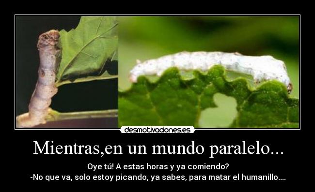 Mientras,en un mundo paralelo... - 