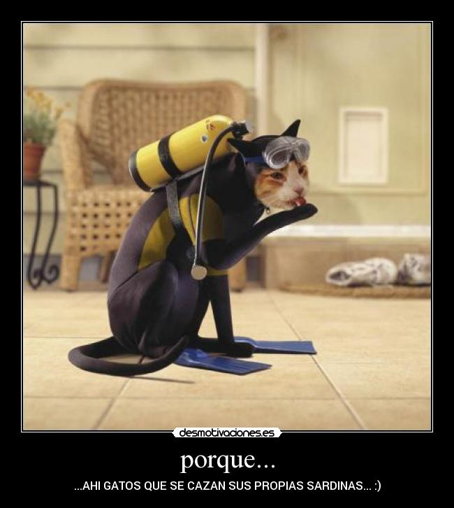 porque... - ...AHI GATOS QUE SE CAZAN SUS PROPIAS SARDINAS... :)