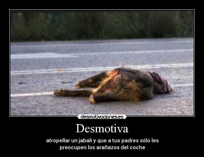Desmotiva - atropellar un jabalí y que a tus padres sólo les
preocupen los arañazos del coche