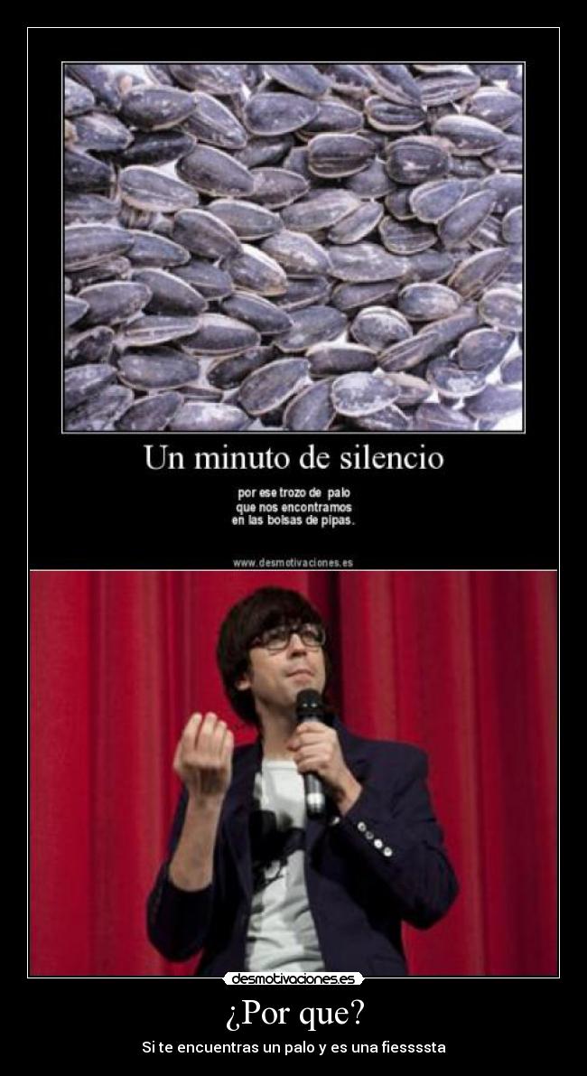 ¿Por que? - Si te encuentras un palo y es una fiessssta