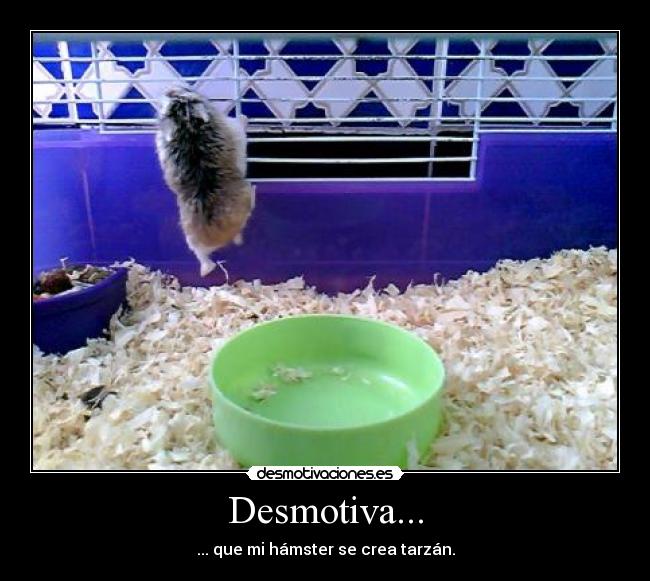 Desmotiva... -