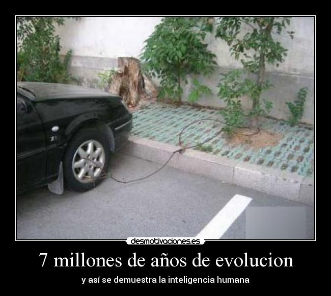 7 millones de años de evolucion -
