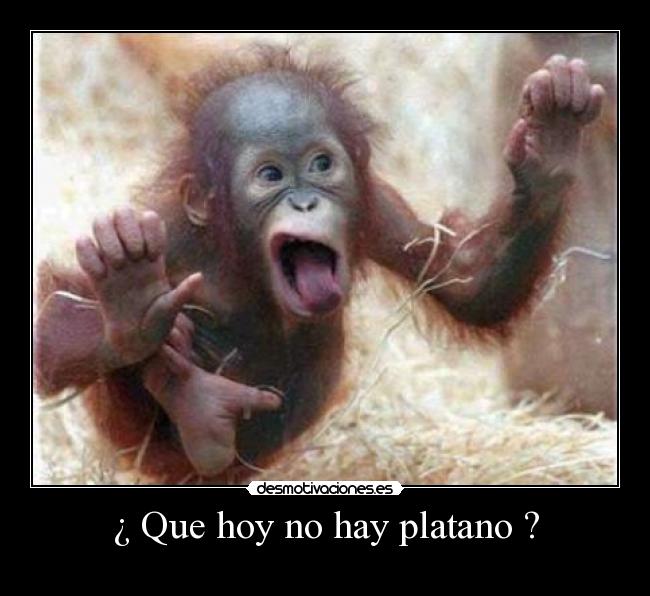 ¿ Que hoy no hay platano ? -