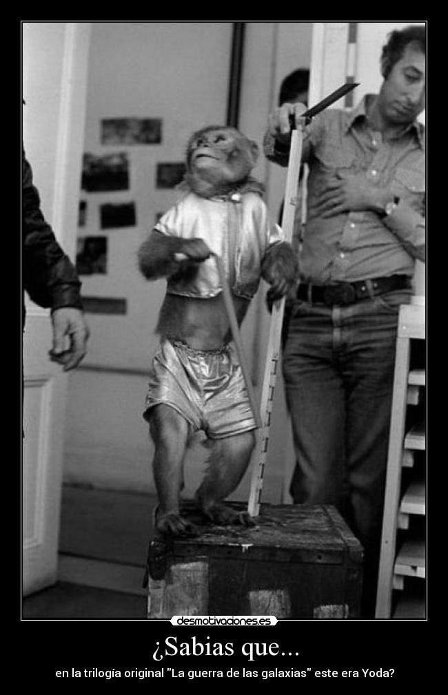¿Sabias que... - en la trilogía original La guerra de las galaxias este era Yoda?
