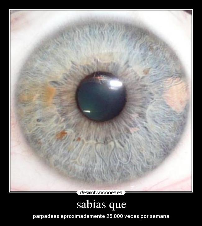 sabias que - 