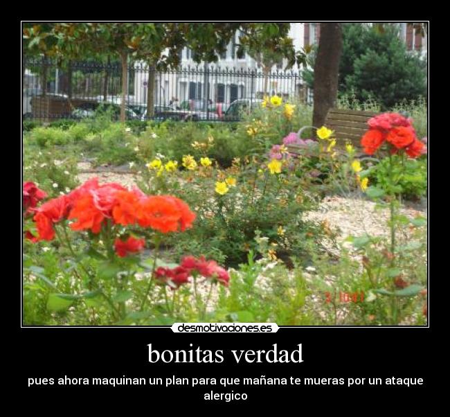 bonitas verdad - pues ahora maquinan un plan para que mañana te mueras por un ataque alergico