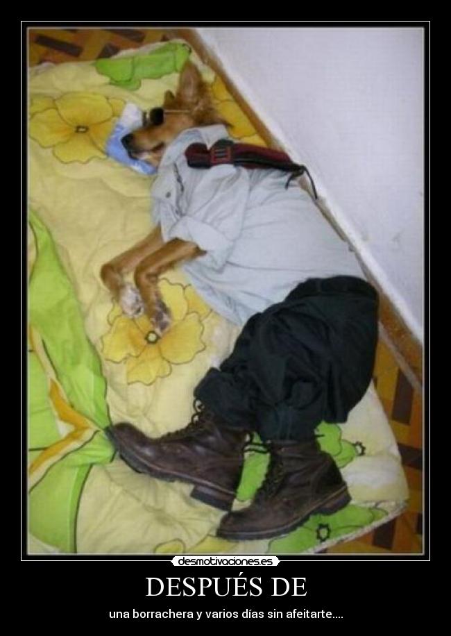 DESPUÉS DE - una borrachera y varios días sin afeitarte....