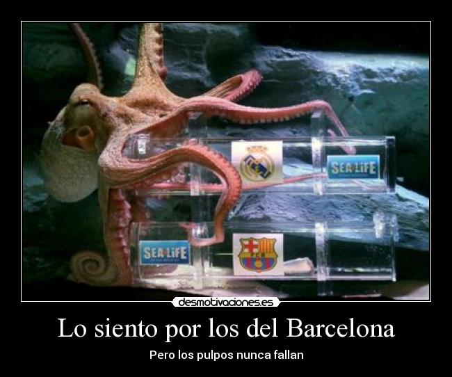 Lo siento por los del Barcelona - Pero los pulpos nunca fallan