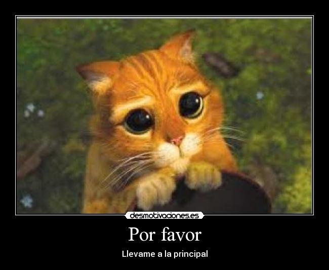 Por favor -