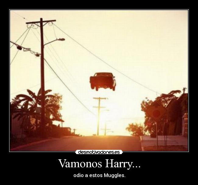 Vamonos Harry... - 