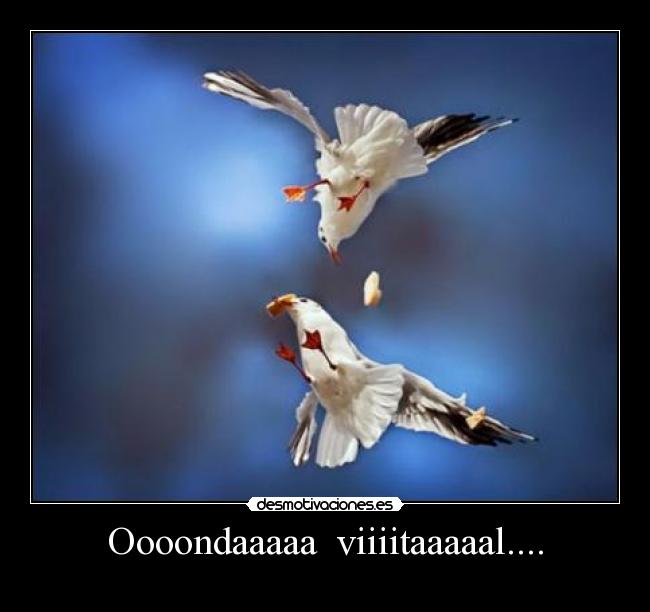 Oooondaaaaa  viiiitaaaaal.... - 