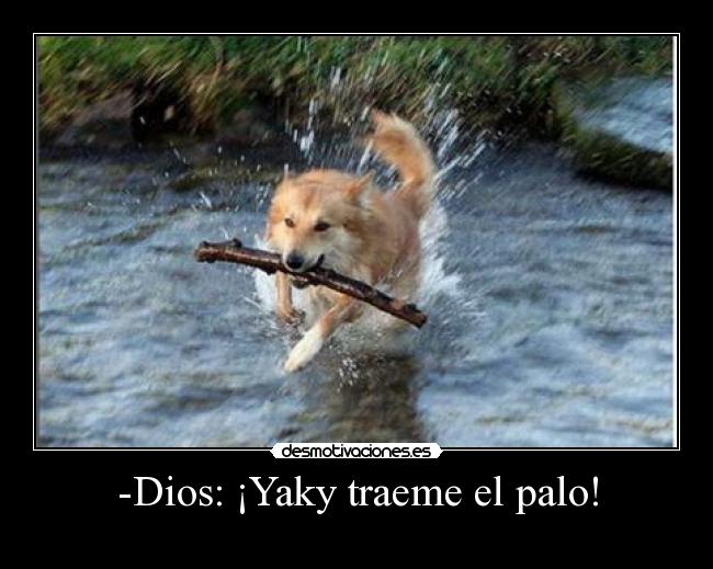 -Dios: ¡Yaky traeme el palo! - 