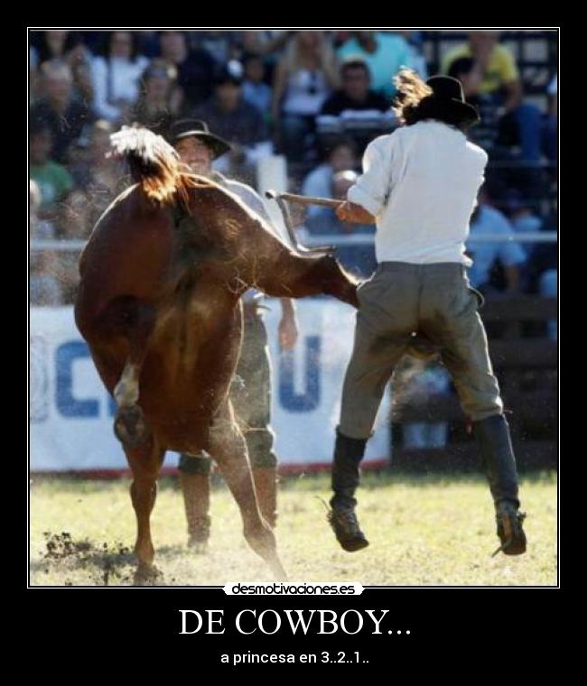 DE COWBOY... - 