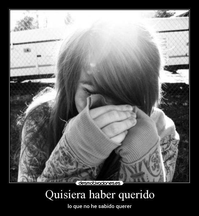 carteles saber querer desmotivaciones