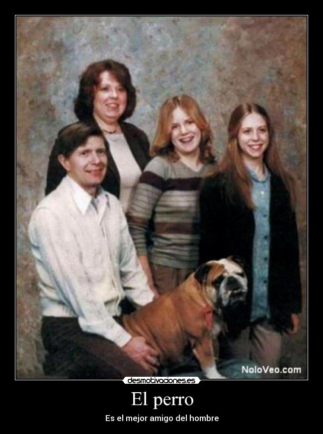 El perro - Es el mejor amigo del hombre