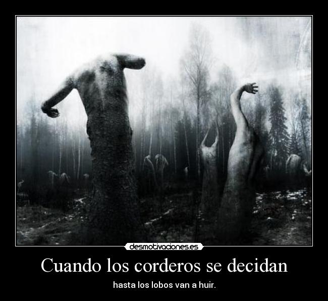 Cuando los corderos se decidan - 