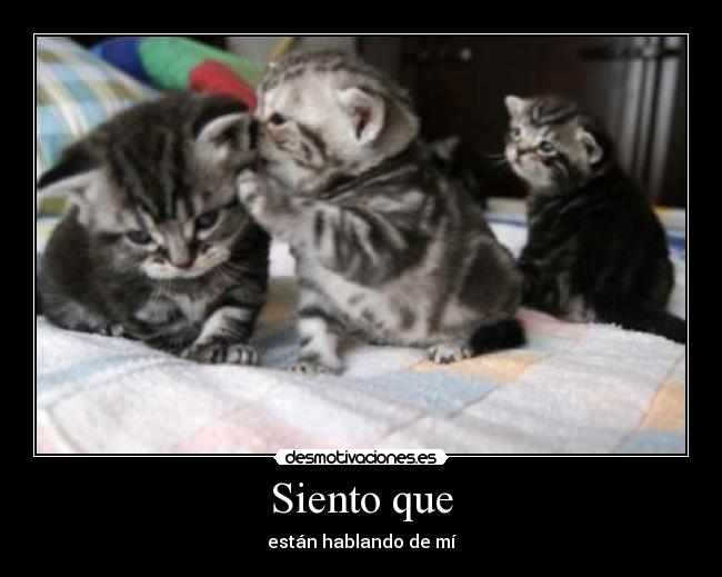 Siento que - están hablando de mí