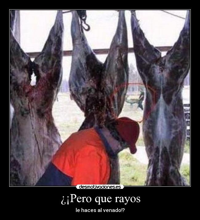 ¿¡Pero que rayos - 